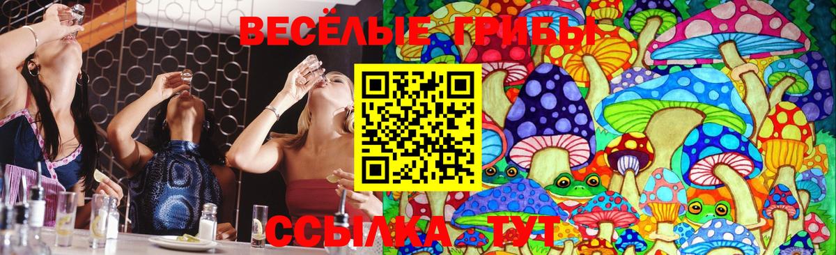 закладка  Псилоцибиновые грибы мухоморы  Вход с VPN  Махачкала 